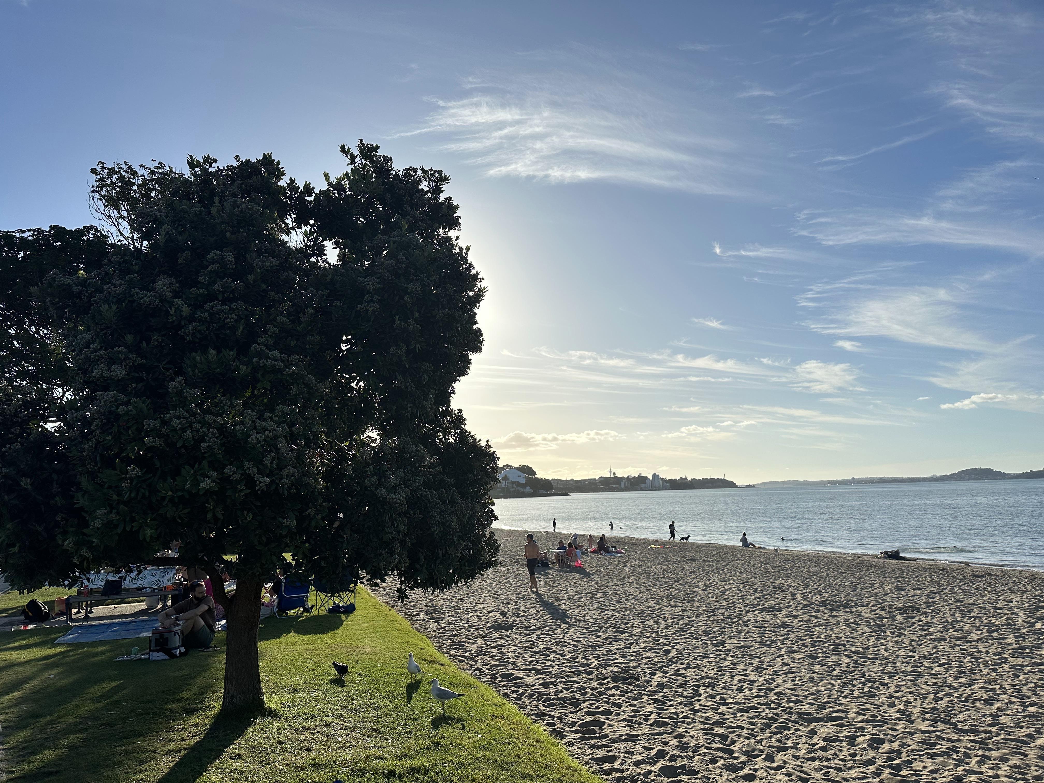 St Heliers Beach