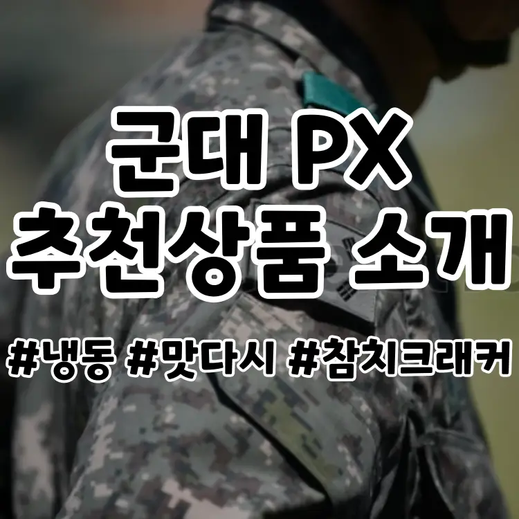  군대 피엑스 냉동식품 소개 - 맛다시, 슈넬치킨, 짬뽕면