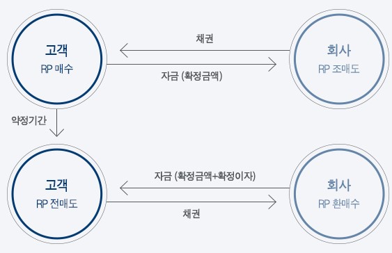 RP-개념-설명