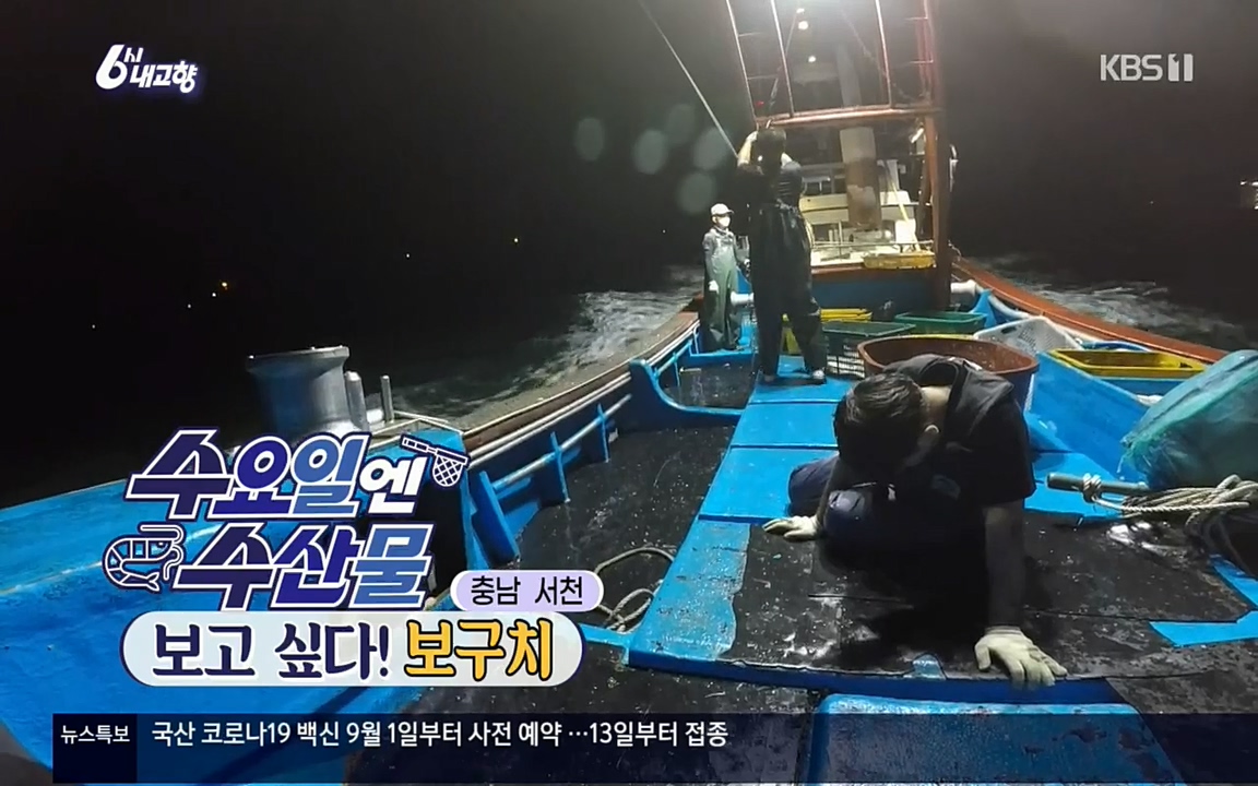 6시 내고향.E7608.220832p.H264-F1RST.mp4_20220901_201615.252.jpg