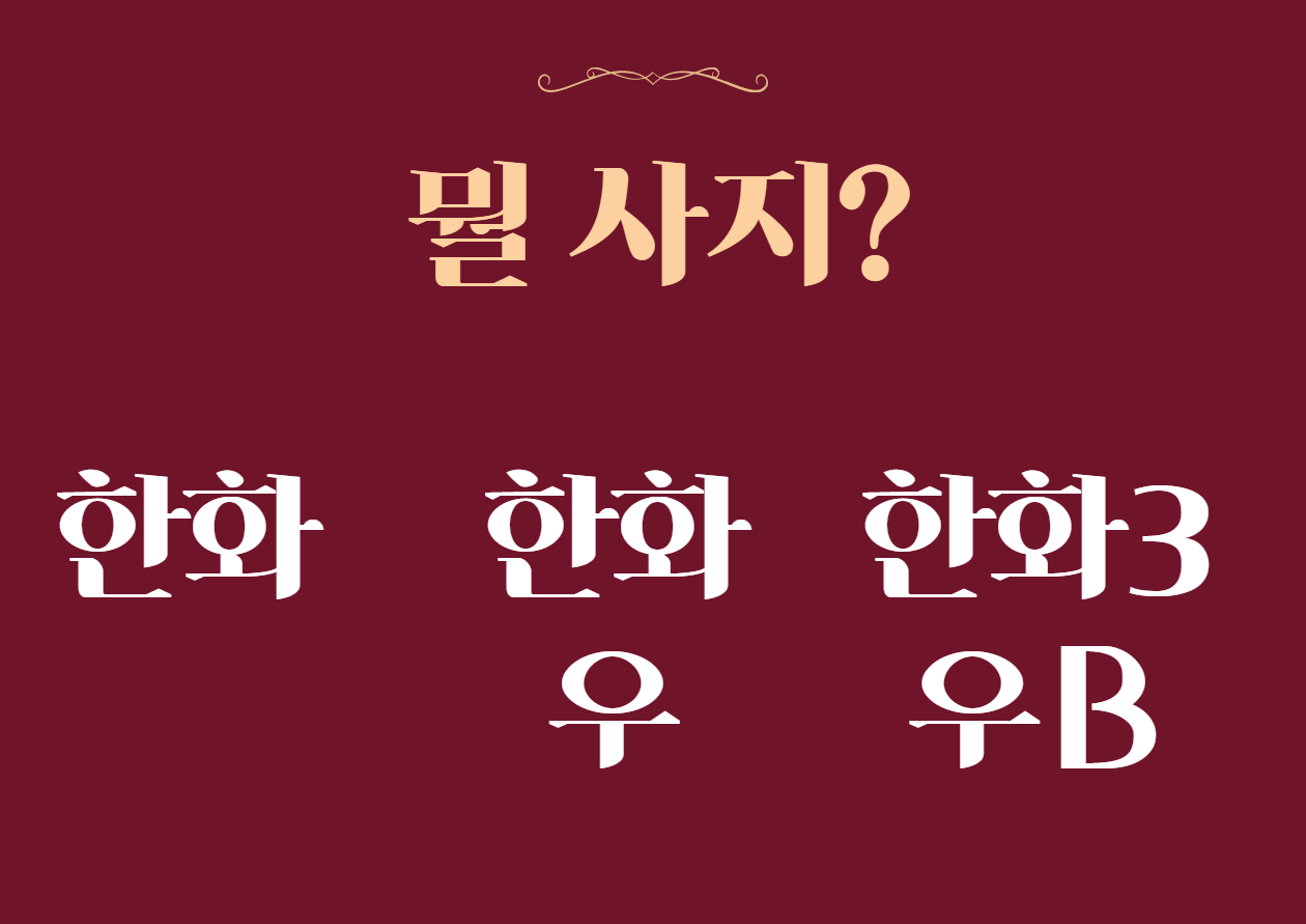  [주식 종목 분석] 한화? 한화우? 한화3우B? 어디에 투자해야 할까!