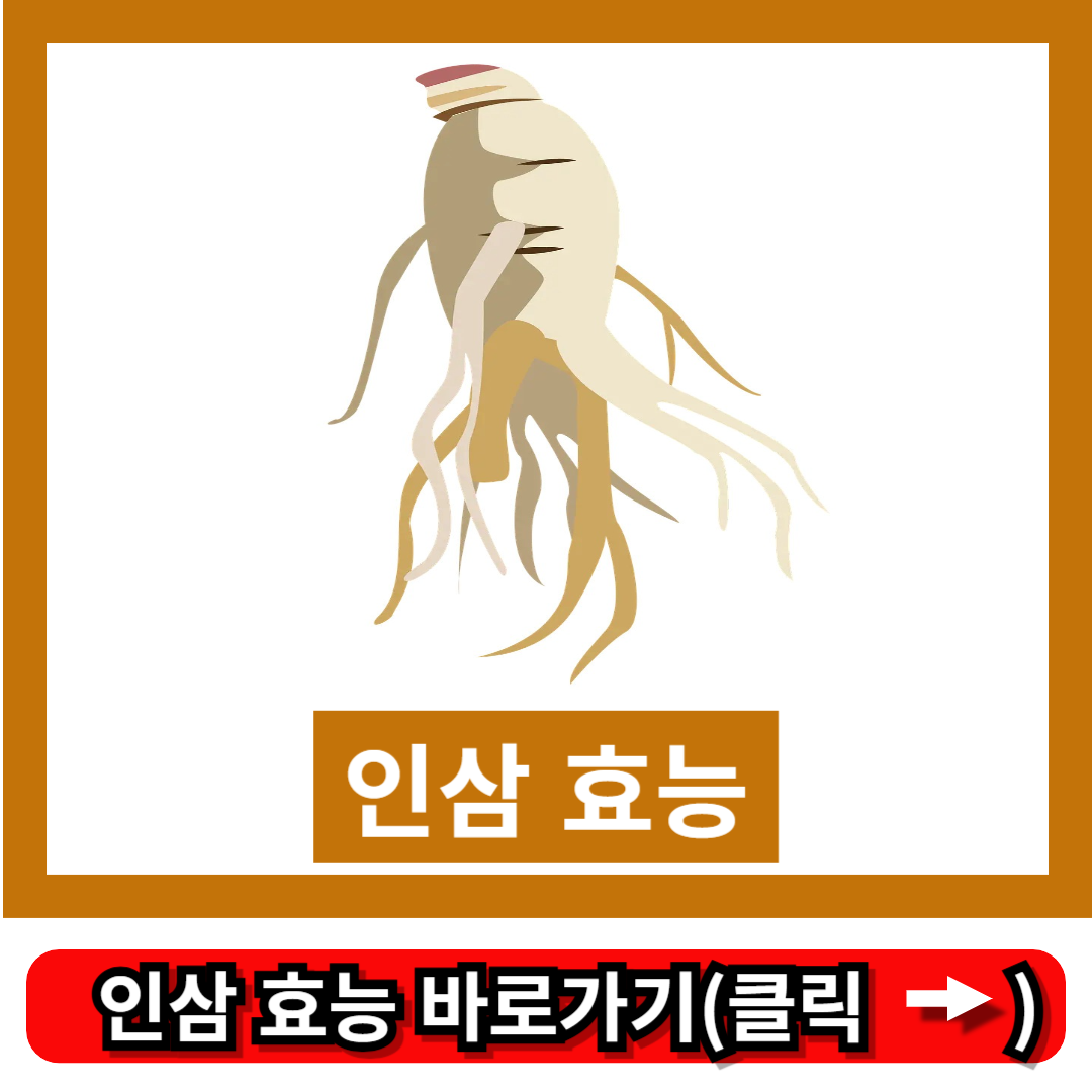 인삼 효능