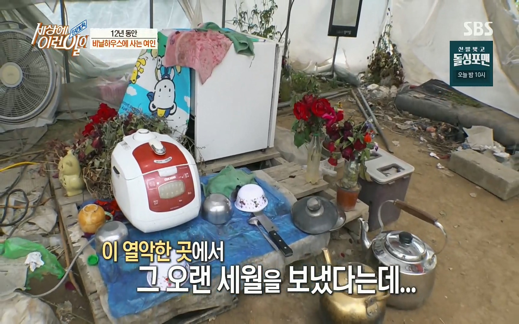 순간포착 세상에 이런일이.E1186.220628p.H264-F1RST.mp4_20220629_201009.556.jpg