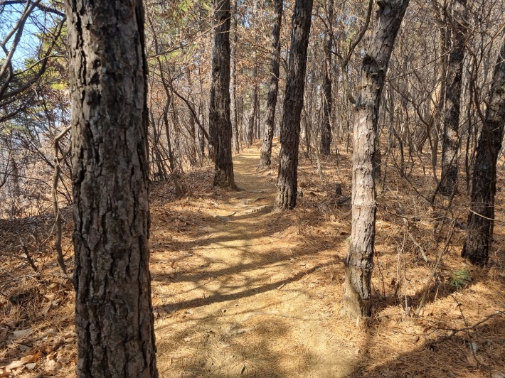 산책로