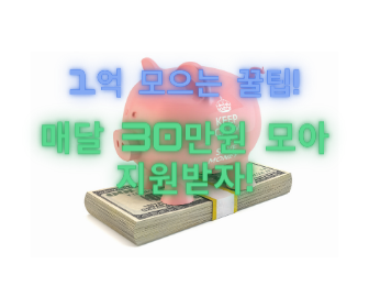 [1억 모으는 숨은 꿀팁] 매달 30만원씩 모아 지원 받고 1억 가즈아! (Feat. 1억모으는 시간을 단축해보자!)