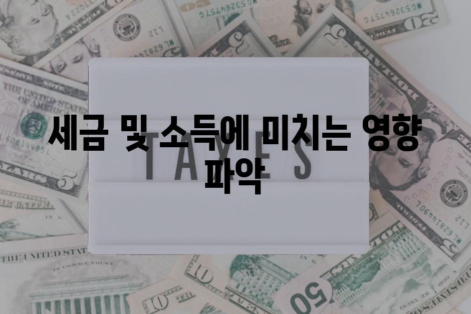 세금 및 소득에 미치는 영향 파악