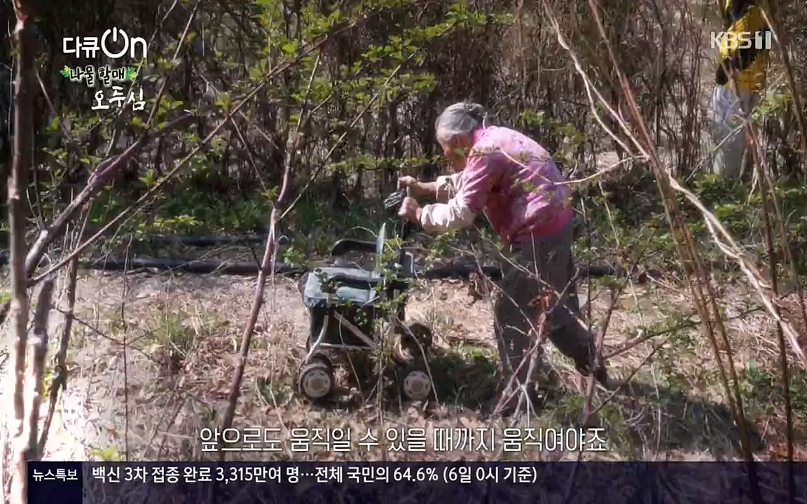 다큐 온.E138.220507p-NEXT.mp4_20220507_183412.061.jpg