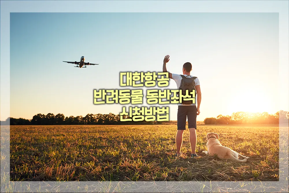 대한항공 반려동물 동반좌석 신청방법