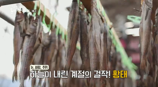 황태-덕장