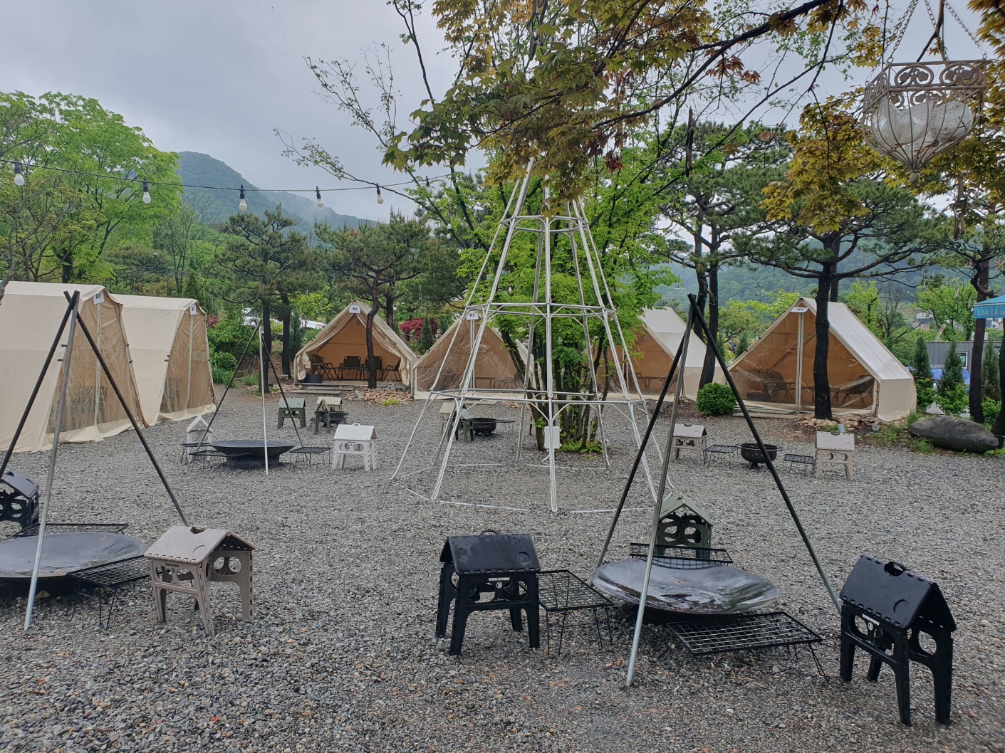 용인 산책하기 좋은 카페 라임그라스 나들이