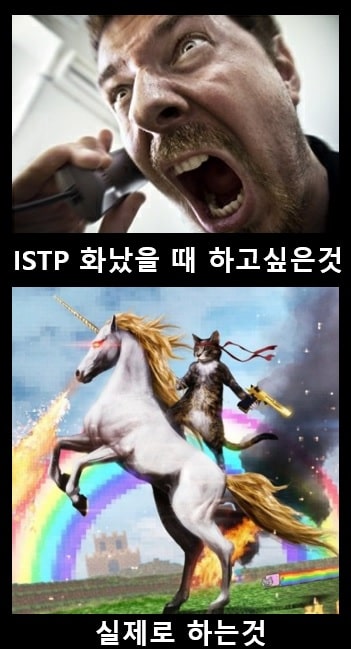 ISTP 밈 짤방 빌하임