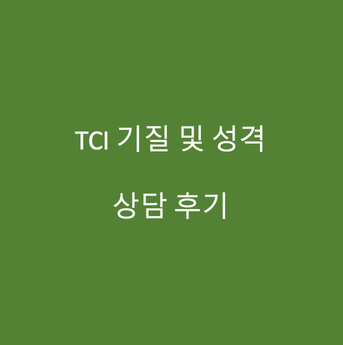 TCI 기질 및 성격 검사 상담 후기 대표 이미지