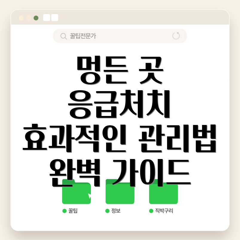 멍든데 바르는 약