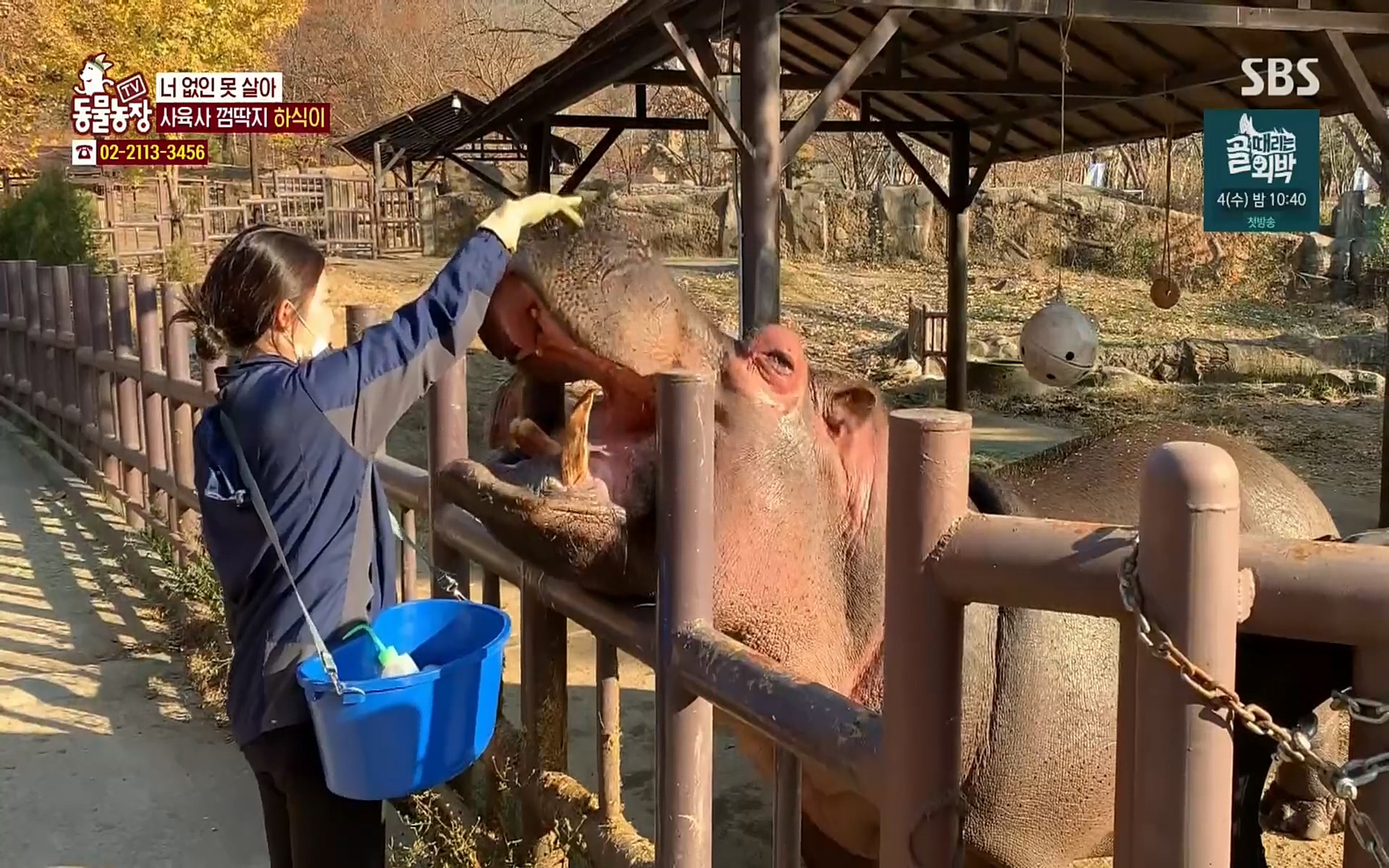 TV 동물농장.E1067.220501p.H264-F1RST.mp4_20220501_181701.985.jpg
