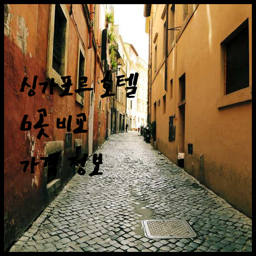싱가포르 호텔 6곳 특징 비교 가격 