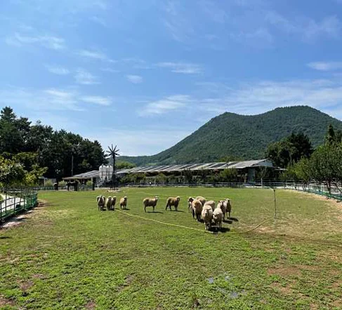 한우드림 동물체험장