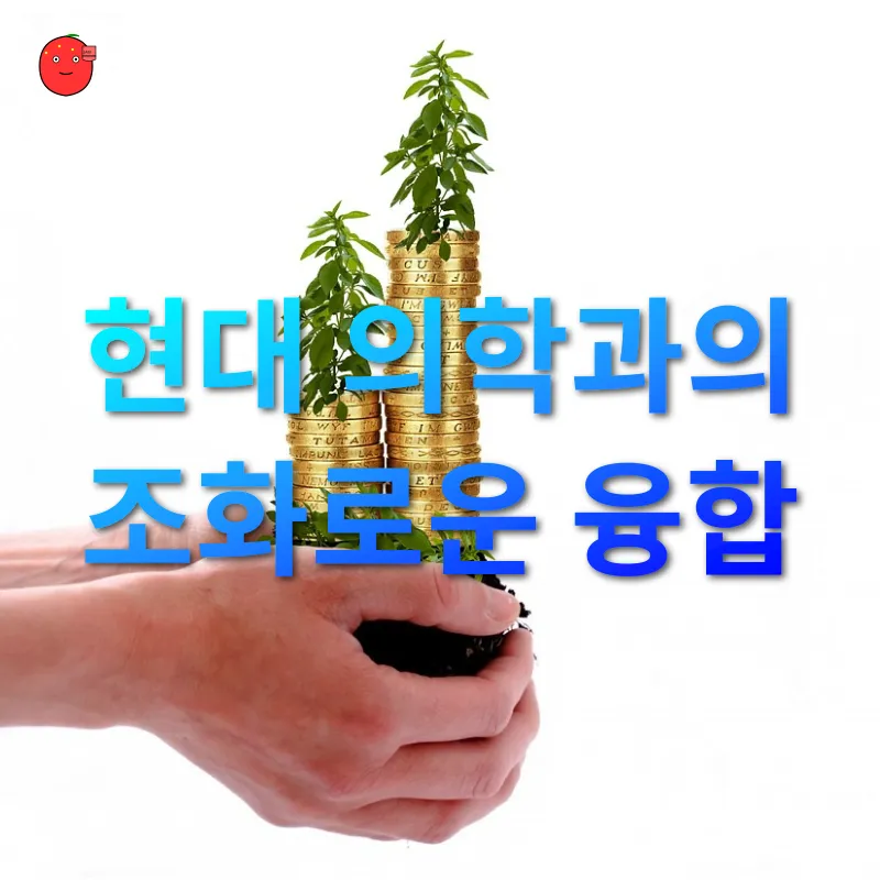 천연 화장품 만들기_4