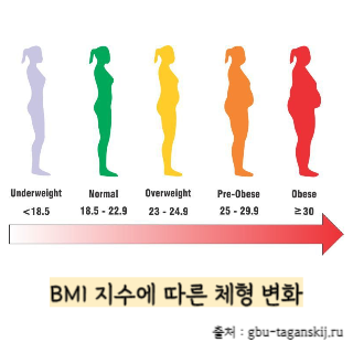 BMI-지수-계산법