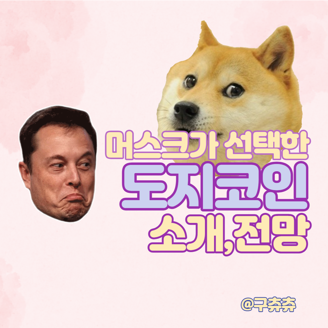ì¼ë¡ ë¨¸ìŠ¤í¬ì˜ ë„ì§€ ì½