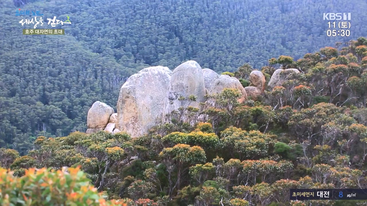 트레킹노트 세상을 걷다.E296.231112p-NEXT.mp4_20231111_182052.322.jpg