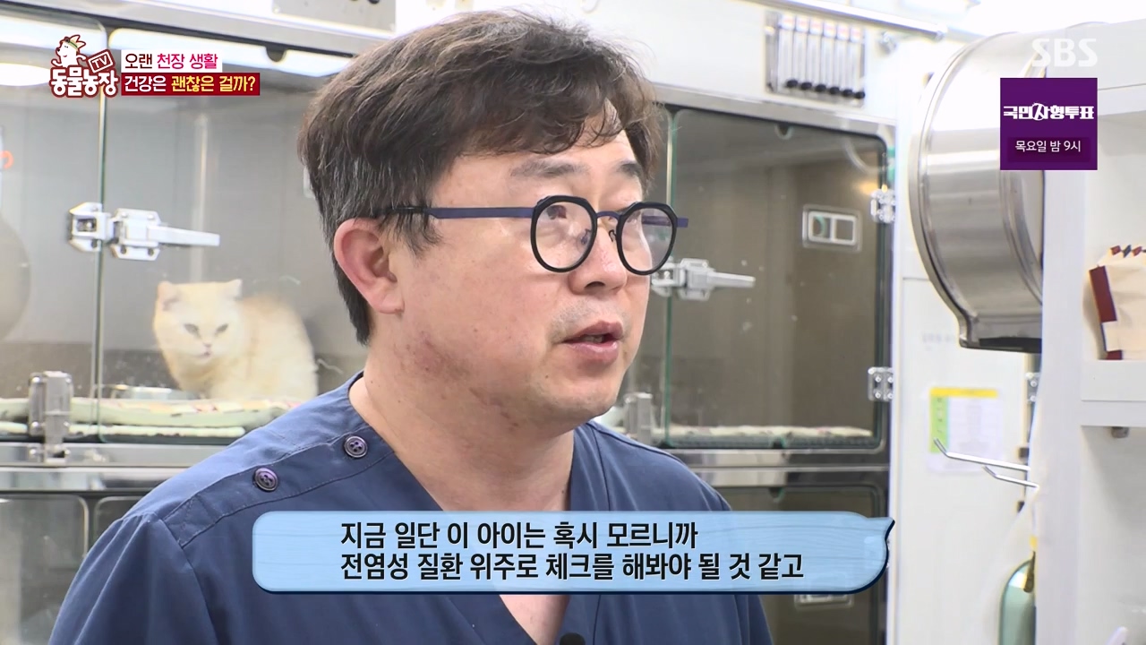 TV 동물농장.E1133.230814p-NEXT.mp4_20230813_171355.714.jpg