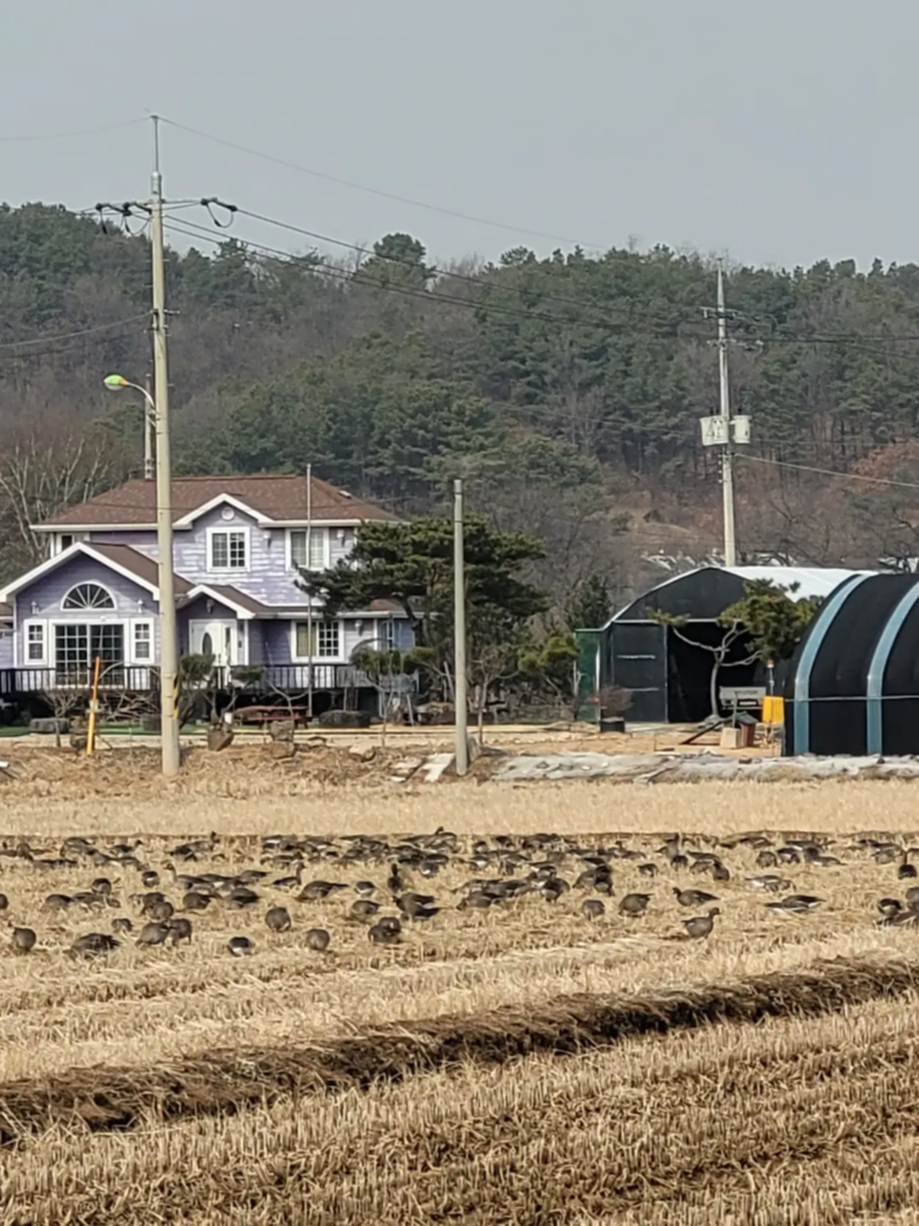 한탄강 물윗길