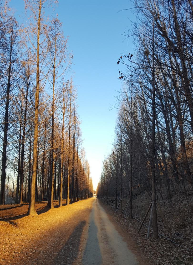  서울근교 산책코스  하늘공원   노을공원