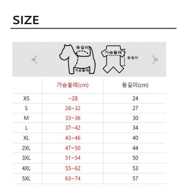 강아지 패딩 추천