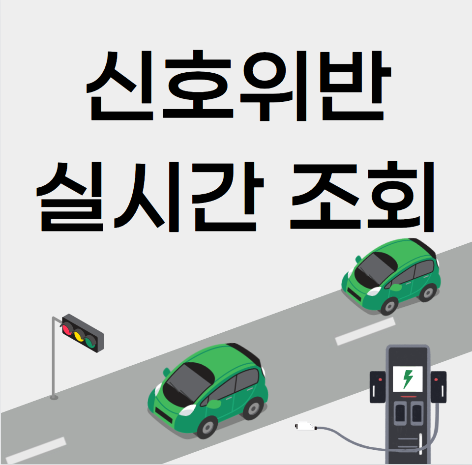  신호위반 실시간 조회 (체크)