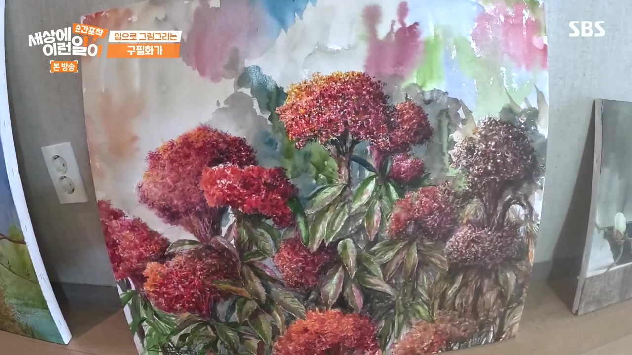순간포착 세상에 이런일이.E1252.231112p-NEXT.mp4_20231112_165316.657.jpg