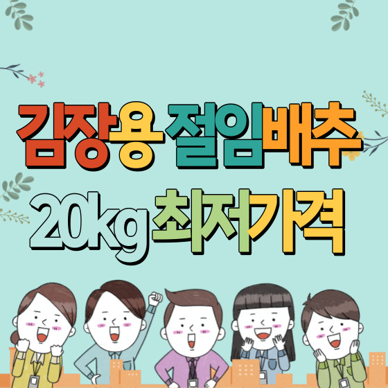  2023년 김장용 절임배추 20kg 지역별 최저가격