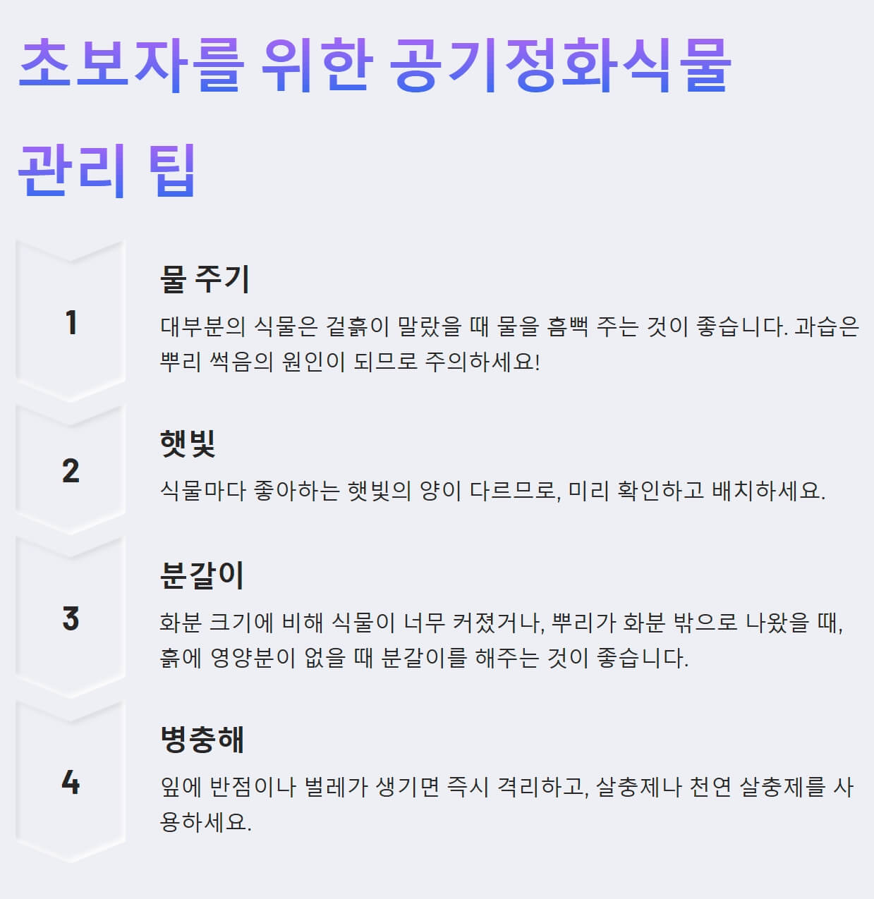 공기정화식물-관리-팁