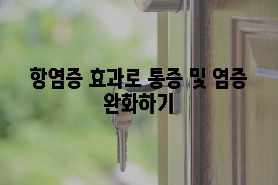 항염증 효과로 통증 및 염증 완화하기