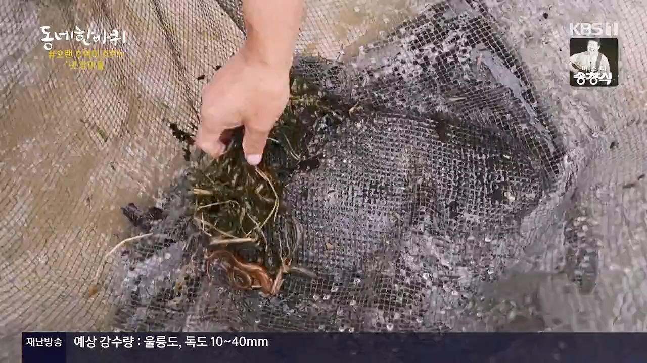 동네 한 바퀴.E280.240630p-NEXT.mp4_20240630_171124.392.jpg