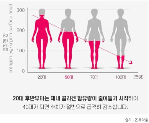 콜라겐이란?
