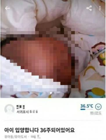 “36주 아이 입양에 20만원” 당근마켓 충격의 인신매매 아이 판매 산모 아이 무사