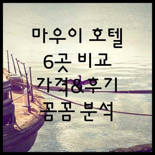 마우이 카아나팔리 호텔 6곳 꼼꼼 비
