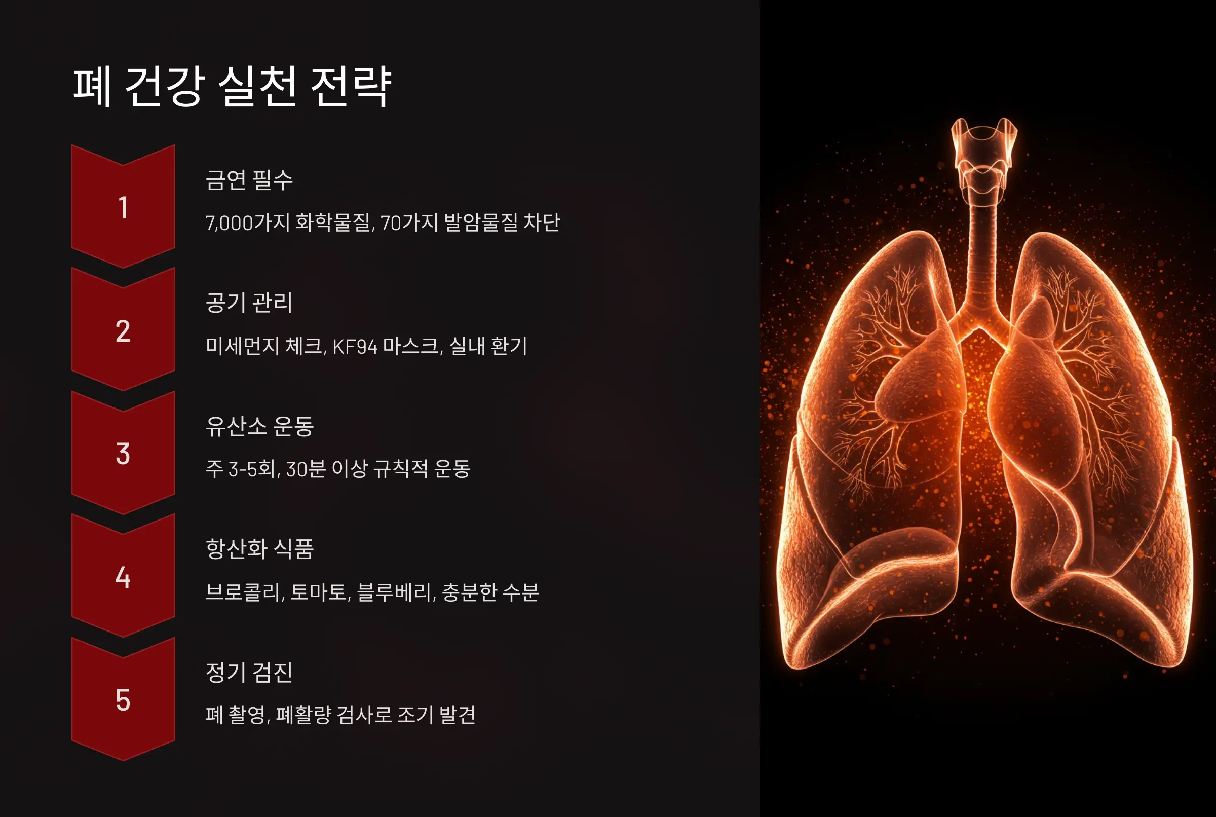 폐 건강을 위한 일상 속 전략적 실천법