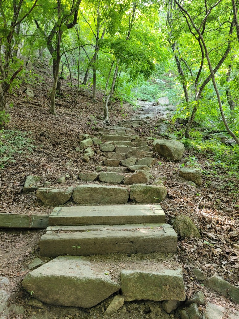 홍성 용봉산 등산코스 홍성 용봉산 7