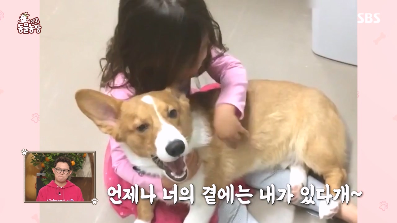 TV 동물농장.E1144.231106p-NEXT.mp4_20231105_175931.900.jpg