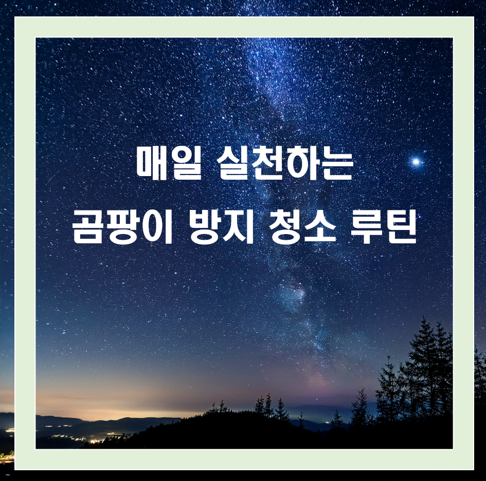여름철 곰팡이 방지 청소 루틴, 매일 실천하는 팁