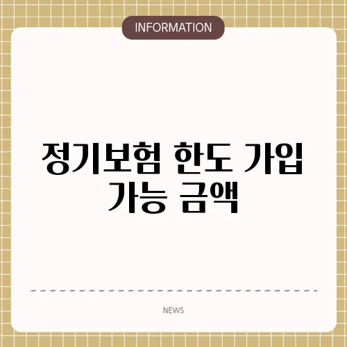 정기보험 한도 가입 가능 금액