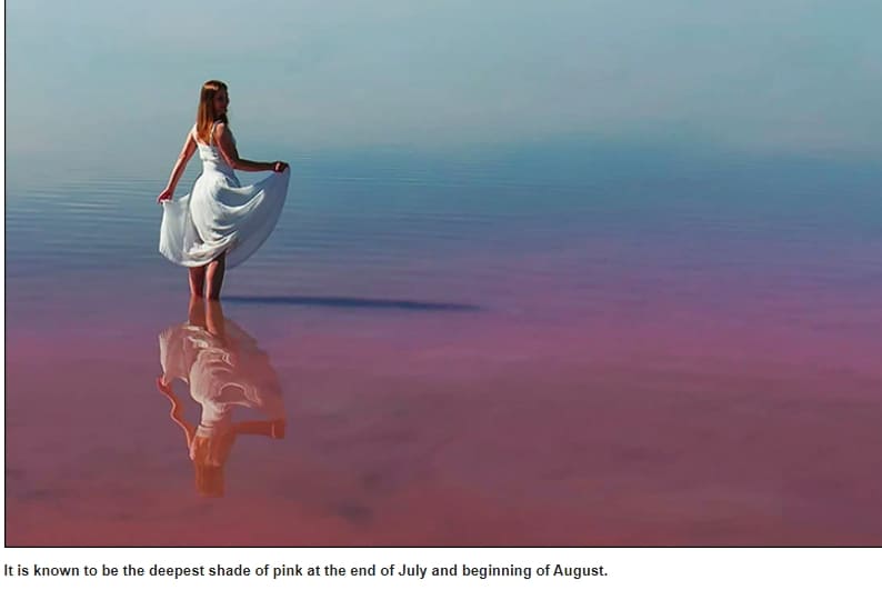 시베리아의 핑크빛 소금 호수 VIDEO: Train Travels Across Stunning Pink Salt Lake l 세계의 핑크빛 호수 10 Naturally Pink Lakes