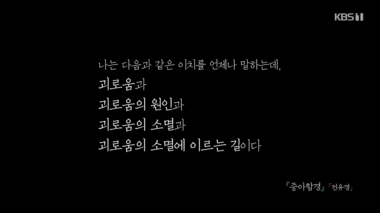 다큐 인사이트.E185.240517p-NEXT.mp4_20240517_200810.253.jpg