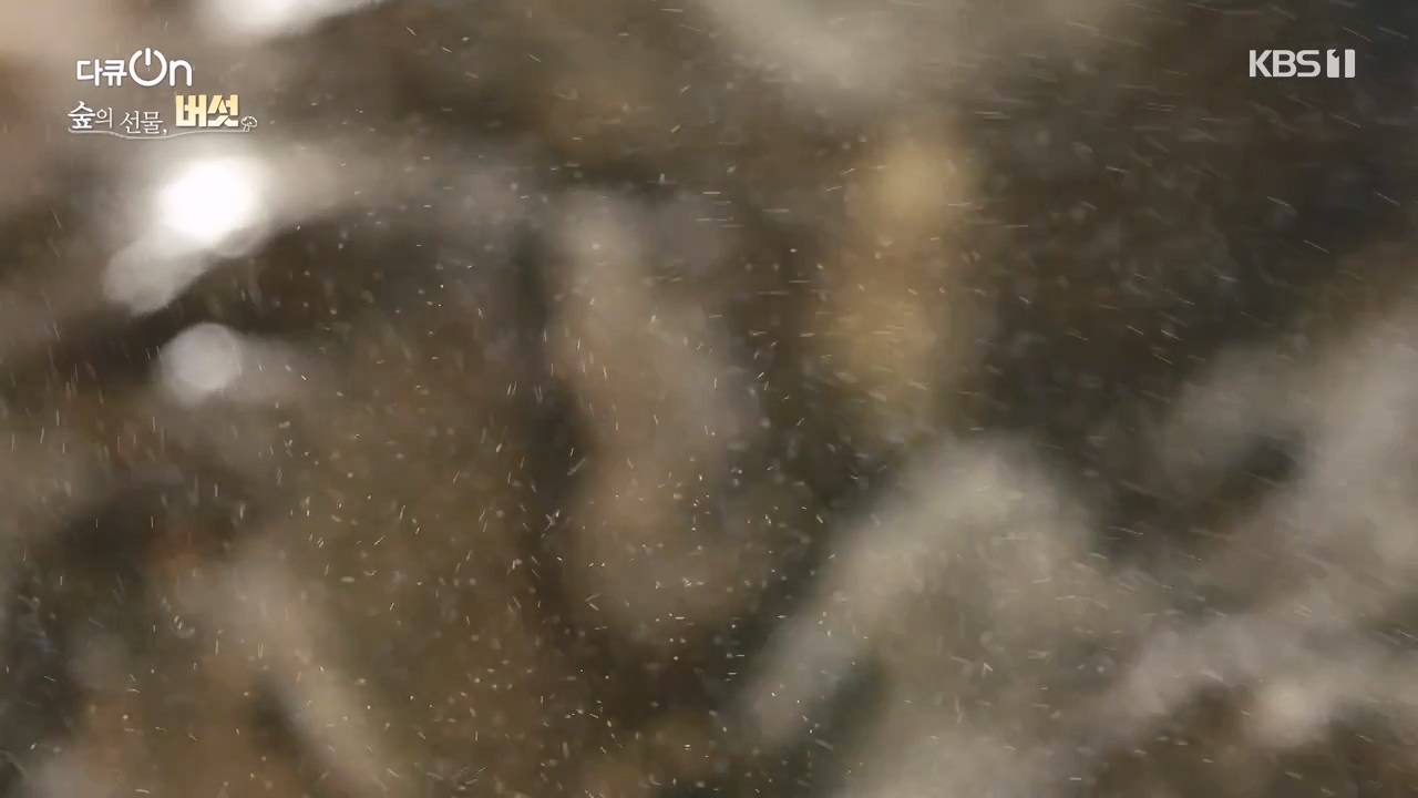 다큐 온.E227.231120p-NEXT.mp4_20231121_202002.075.jpg