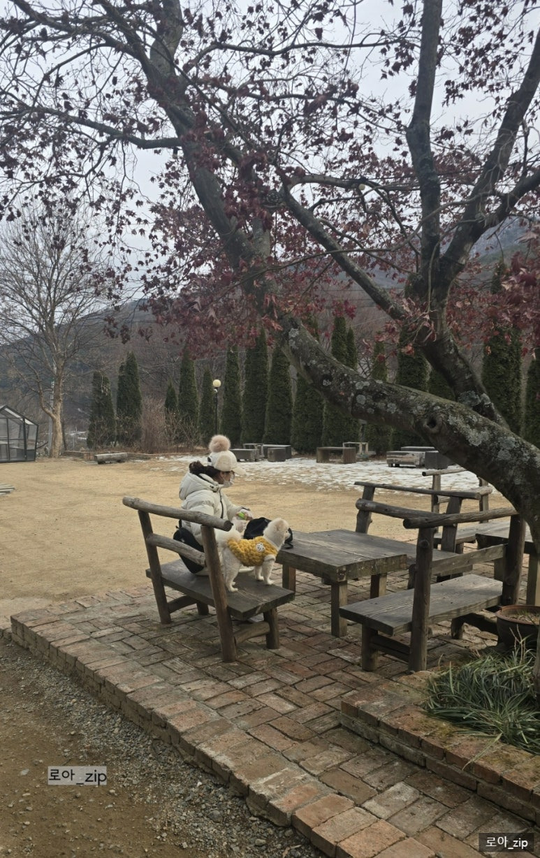 오퐁드부아 이미지