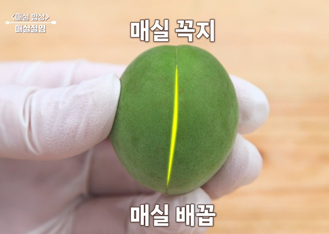 매실장아찌 담그는법