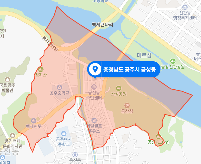  충남 공주시 금성동 추락사고 사망사건 (2020년 11월 13일)