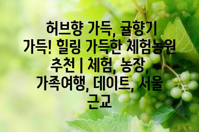 랜덤101