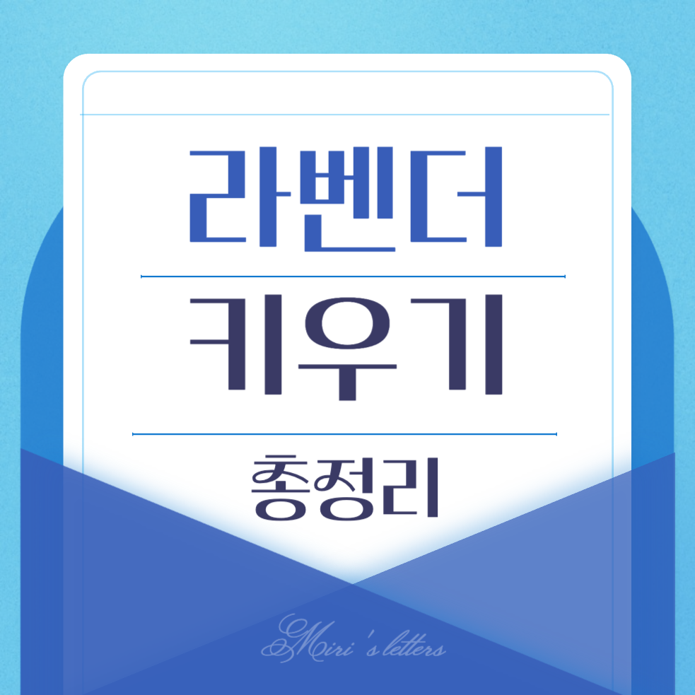  라벤더 키우기와 효능 총정리